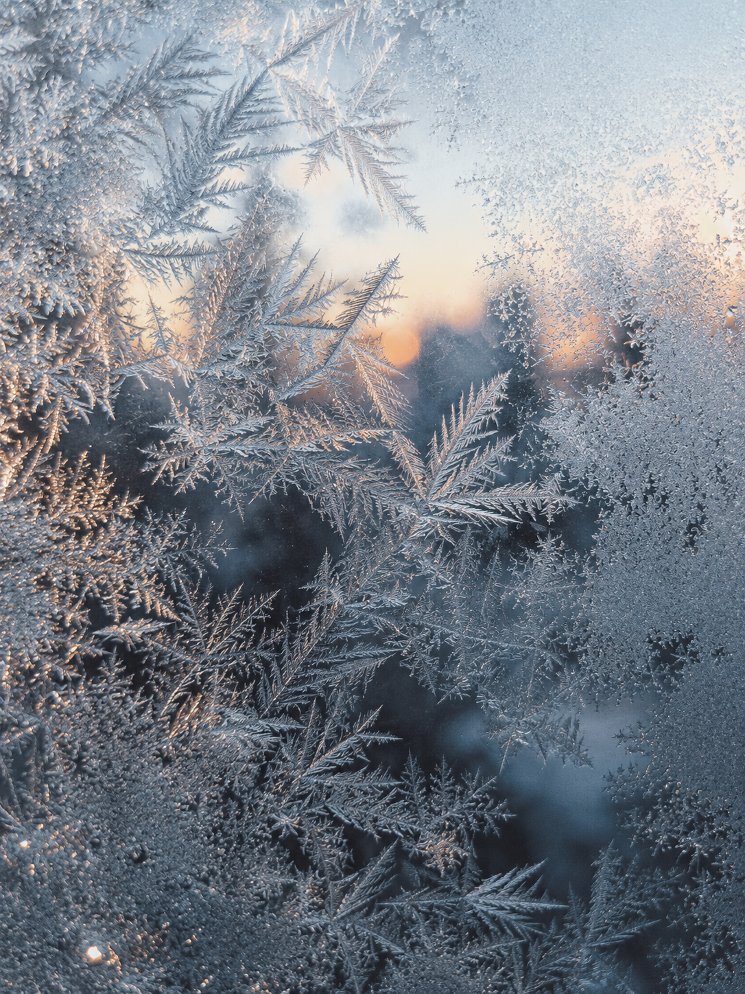 winter frost